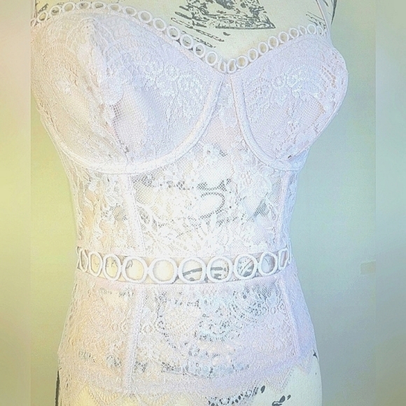 Victoria's Secret Longline Pink Sparkle Bustier Corset Lace Mesh - Picture 3 of 15